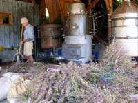 LA RIVIERE DES AROMES