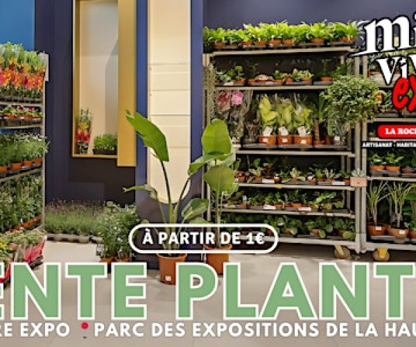 Vente éphémère de plantes