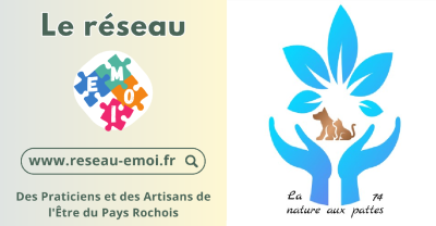 Conférence « L&rsquo;alimentation de nos compagnons à 4 pattes »